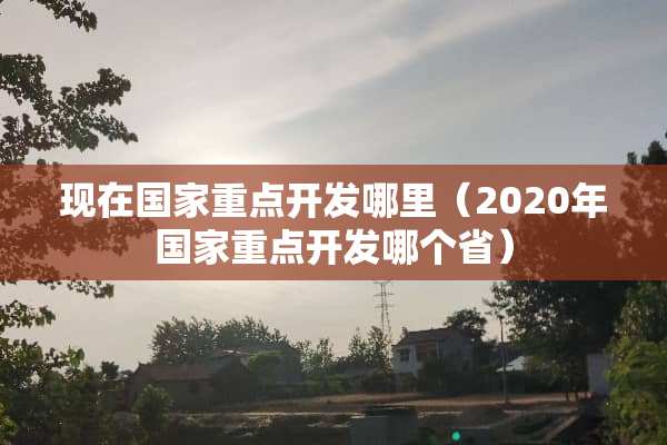 现在国家重点开发哪里（2020年国家重点开发哪个省）