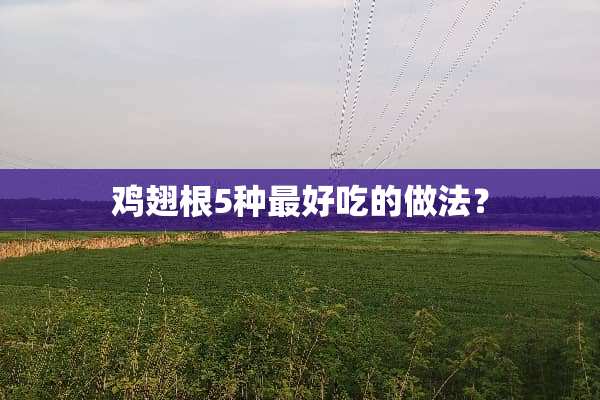 鸡翅根5种最好吃的做法？