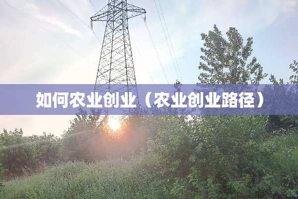 如何农业创业（农业创业路径）