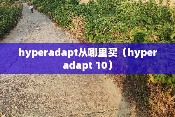 hyperadapt从哪里买（hyperadapt 10）