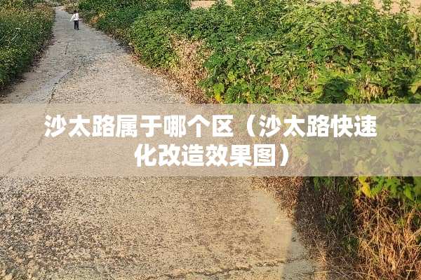 沙太路属于哪个区（沙太路快速化改造效果图）