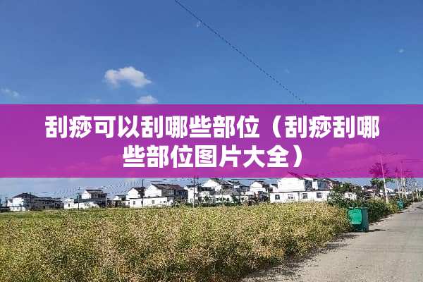 刮痧可以刮哪些部位（刮痧刮哪些部位图片大全）