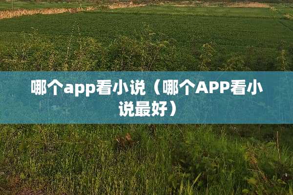 哪个app看小说（哪个APP看小说最好）