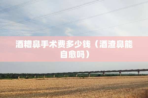 酒糟鼻手术费多少钱（酒渣鼻能自愈吗）