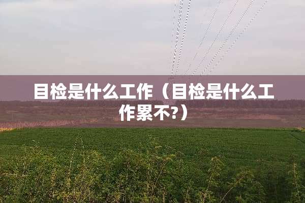 目检是什么工作（目检是什么工作累不?）