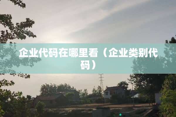 企业代码在哪里看（企业类别代码）