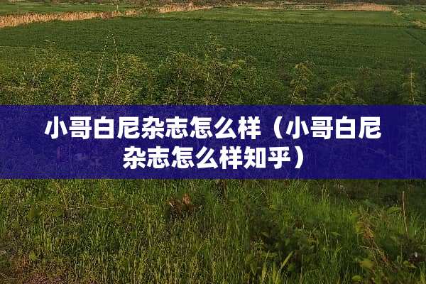 小哥白尼杂志怎么样（小哥白尼杂志怎么样知乎）