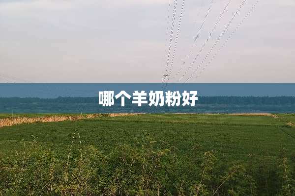 哪个羊奶粉好