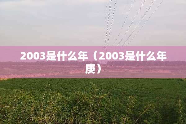 2003是什么年（2003是什么年庚）