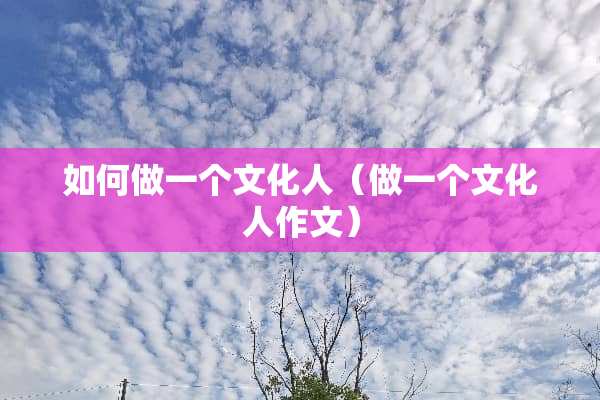 如何做一个文化人（做一个文化人作文）