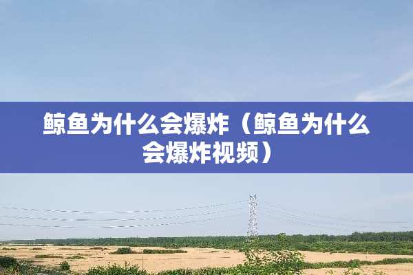 鲸鱼为什么会**（鲸鱼为什么会**视频）