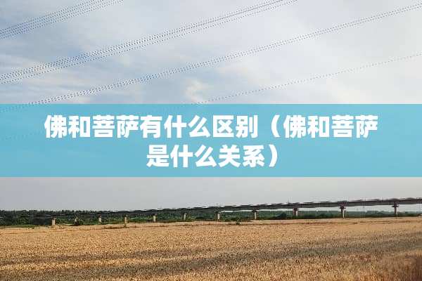 佛和菩萨有什么区别（佛和菩萨是什么关系）