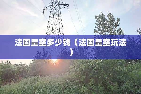 法国皇室多少钱（法国皇室玩法）