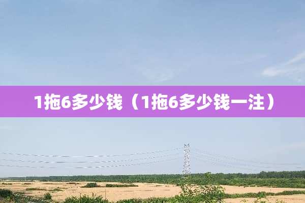 1拖6多少钱（1拖6多少钱一注）