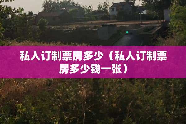 私人订制票房多少（私人订制票房多少钱一张）