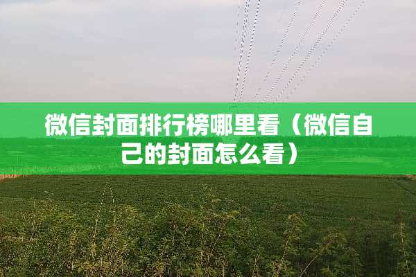 微信封面排行榜哪里看（微信自己的封面怎么看）