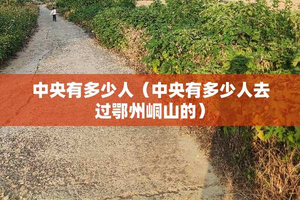 **有多少人（**有多少人去过鄂州峒山的）