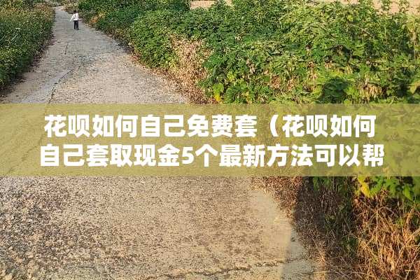 花呗如何自己免费套（花呗如何自己套取现金5个最新方法可以帮你实现）