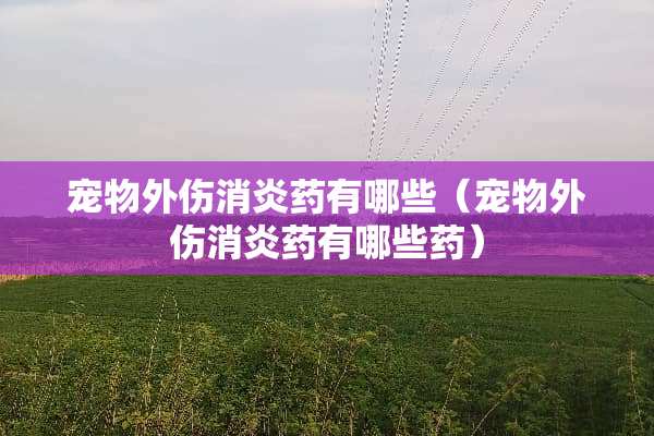 宠物外伤消炎药有哪些（宠物外伤消炎药有哪些药）