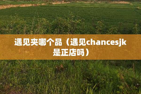 遇见夹哪个品（遇见chancesjk是正店吗）