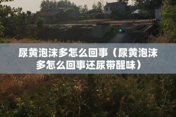 尿黄泡沫多怎么回事（尿黄泡沫多怎么回事还尿带醒味）