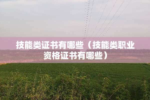 技能类证书有哪些（技能类职业资格证书有哪些）