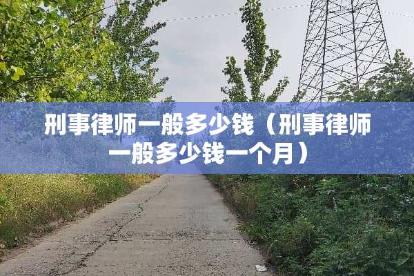 刑事律师一般多少钱（刑事律师一般多少钱一个月）