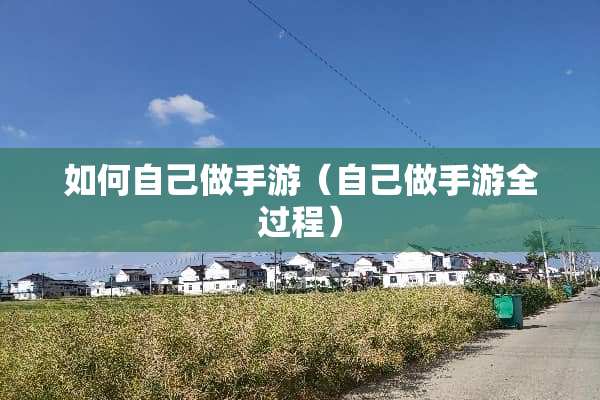 如何自己做手游（自己做手游全过程）