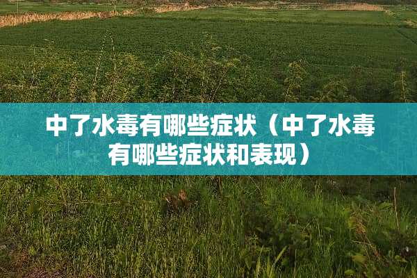 中了水毒有哪些症状（中了水毒有哪些症状和表现）