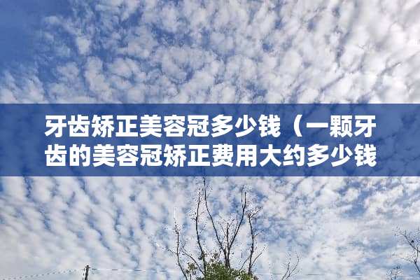 牙齿矫正美容冠多少钱（一颗牙齿的美容冠矫正费用大约多少钱）