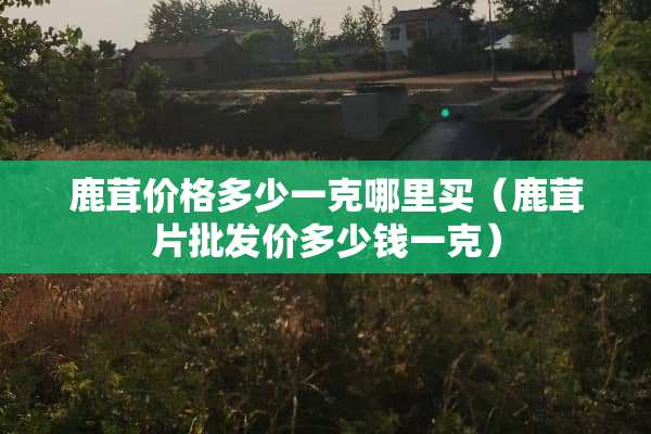 鹿茸价格多少一克哪里买（鹿茸片批发价多少钱一克）