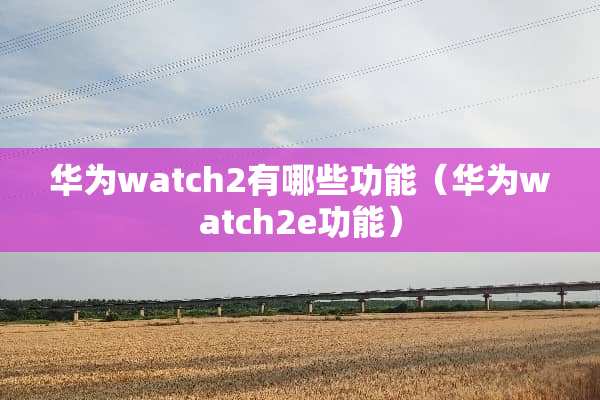 华为watch2有哪些功能（华为watch2e功能）