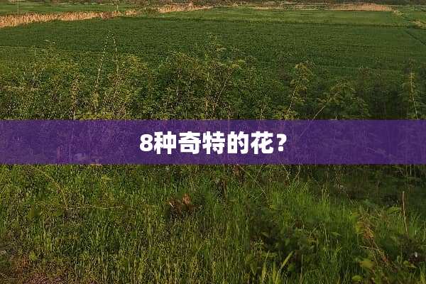 8种奇特的花？