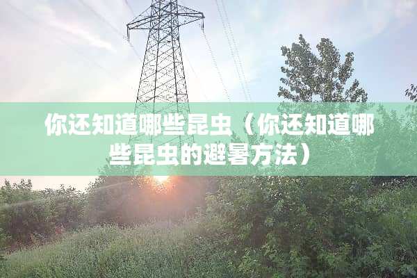你还知道哪些昆虫（你还知道哪些昆虫的避暑方法）