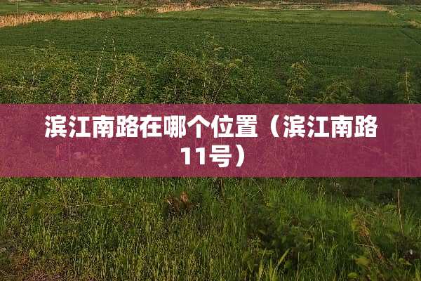 滨江南路在哪个位置（滨江南路11号）