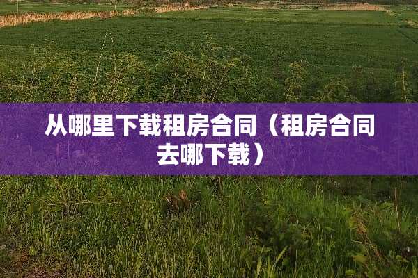 从哪里下载租房合同（租房合同去哪下载）