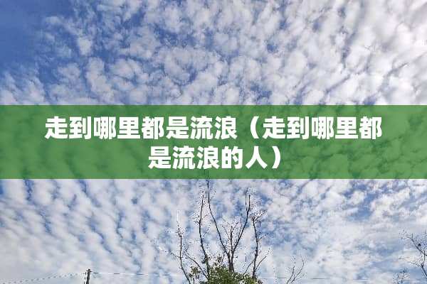 走到哪里都是流浪（走到哪里都是流浪的人）