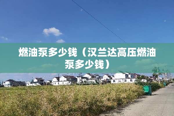 燃油泵多少钱（汉兰达高压燃油泵多少钱）