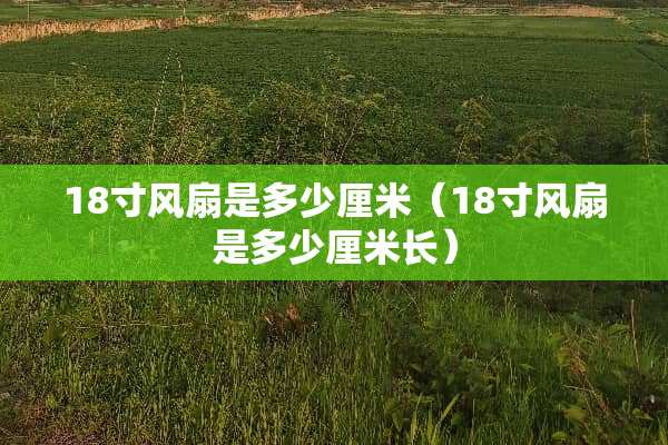 18寸风扇是多少厘米（18寸风扇是多少厘米长）