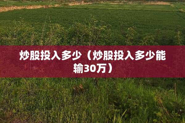 炒股投入多少（炒股投入多少能输30万）