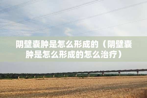 *壁囊肿是怎么形成的（*壁囊肿是怎么形成的怎么治疗）