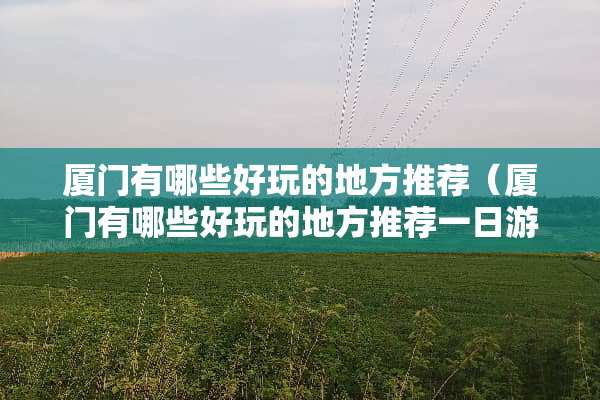 厦门有哪些好玩的地方推荐（厦门有哪些好玩的地方推荐一日游）