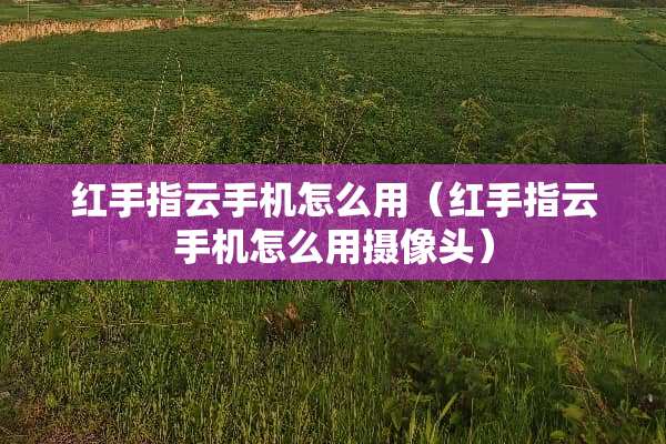 红手指云手机怎么用（红手指云手机怎么用**头）