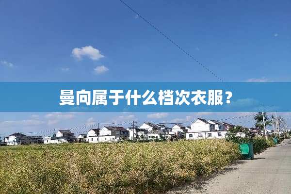 曼向属于什么档次衣服？