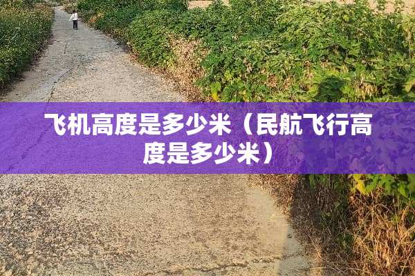 飞机高度是多少米（民航飞行高度是多少米）