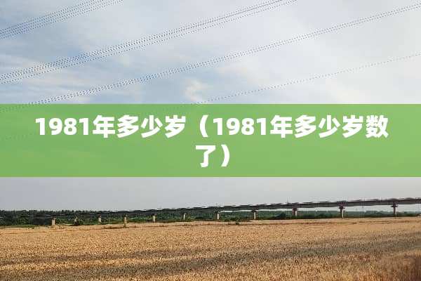 1981年多少岁（1981年多少岁数了）