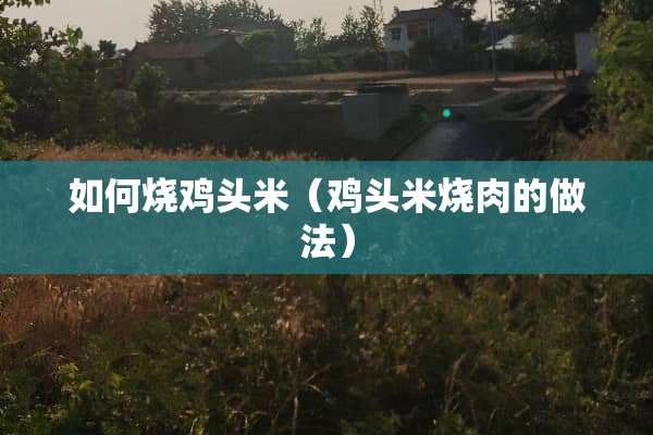 如何烧鸡头米（鸡头米烧肉的做法）