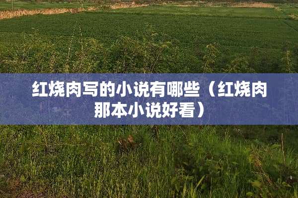 红烧肉写的小说有哪些（红烧肉那本小说好看）