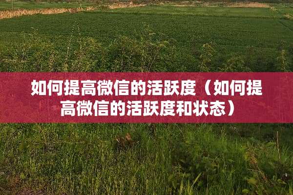如何提高微信的活跃度（如何提高微信的活跃度和状态）