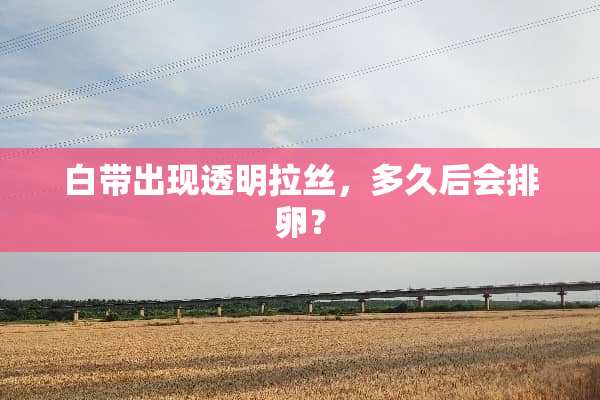 白带出现透明拉丝，多久后会排卵？